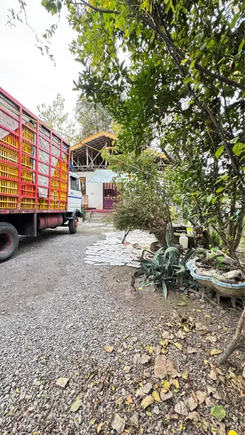 ویلا باغ ۳۰۰ متری سند تکبرگ با ۸۰ متر بنا دو خواب|فروش خانه و ویلا|رشت, بلوار گیلان|دیوار