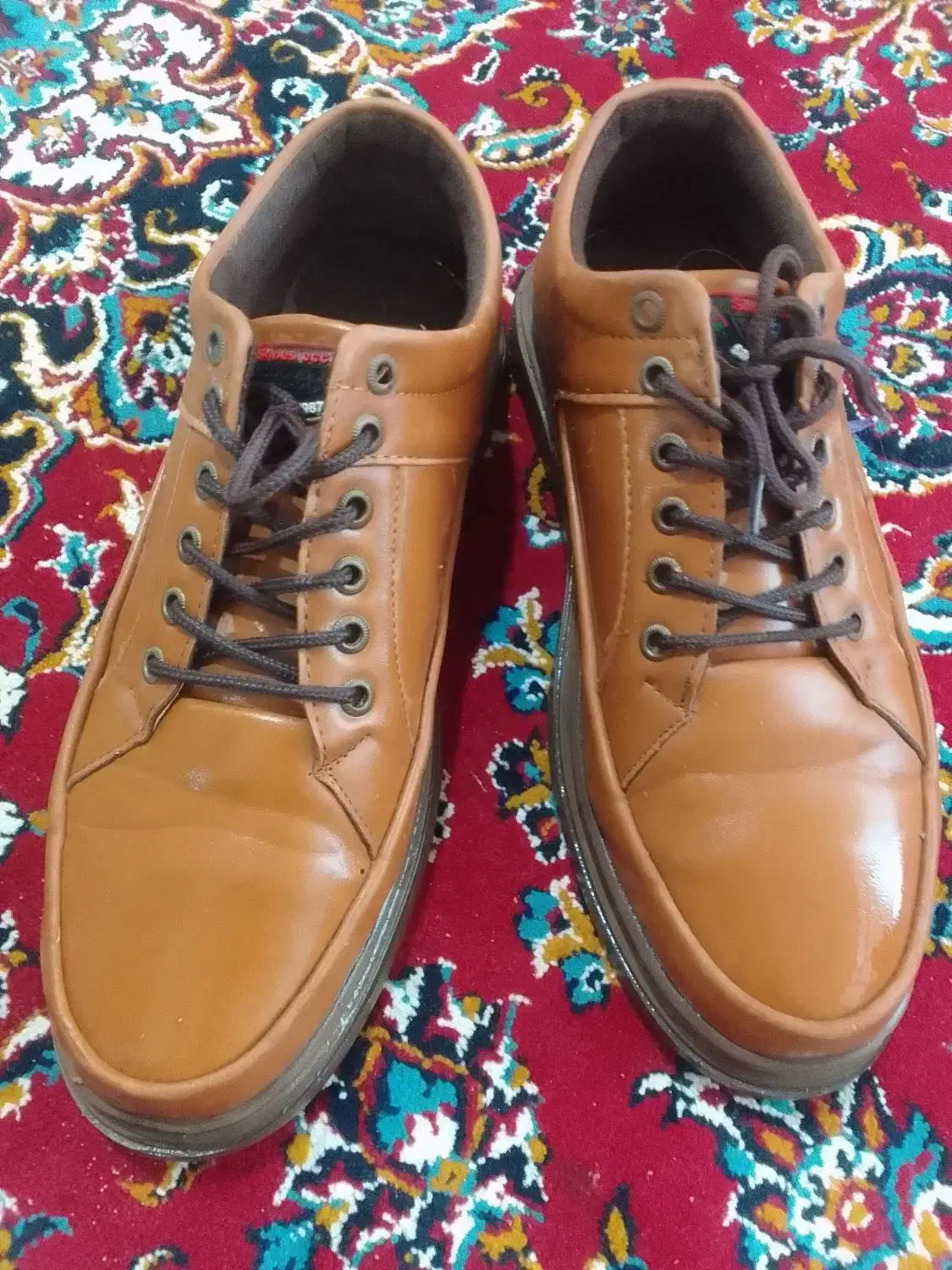 کفش|کیف، کفش، کمربند|مشهد, پورسینا|دیوار