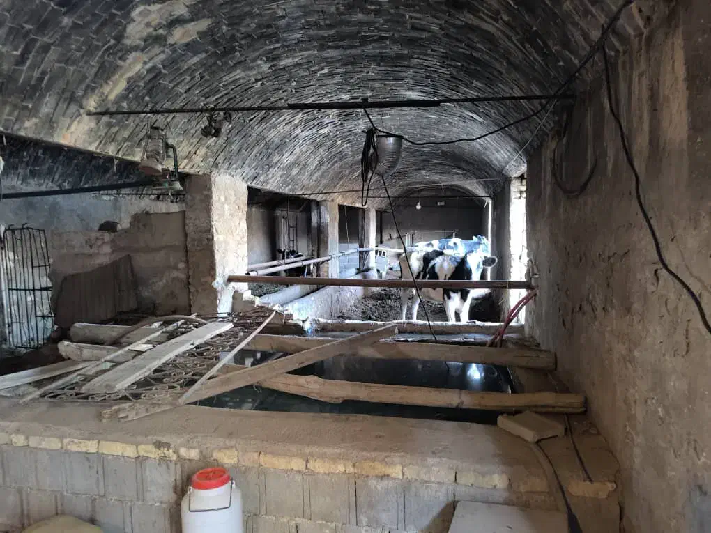 فروش یک کارگاه تیرچه بلوکی یا گاوداری|فروش دفتر صنعتی، کشاورزی، تجاری|شهرضا, |دیوار