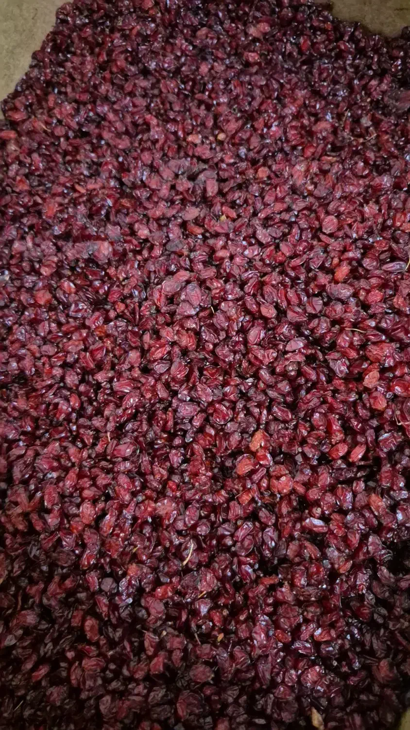 زرشک و زعفران اعلا|خوردنی و آشامیدنی|گرگان, |دیوار