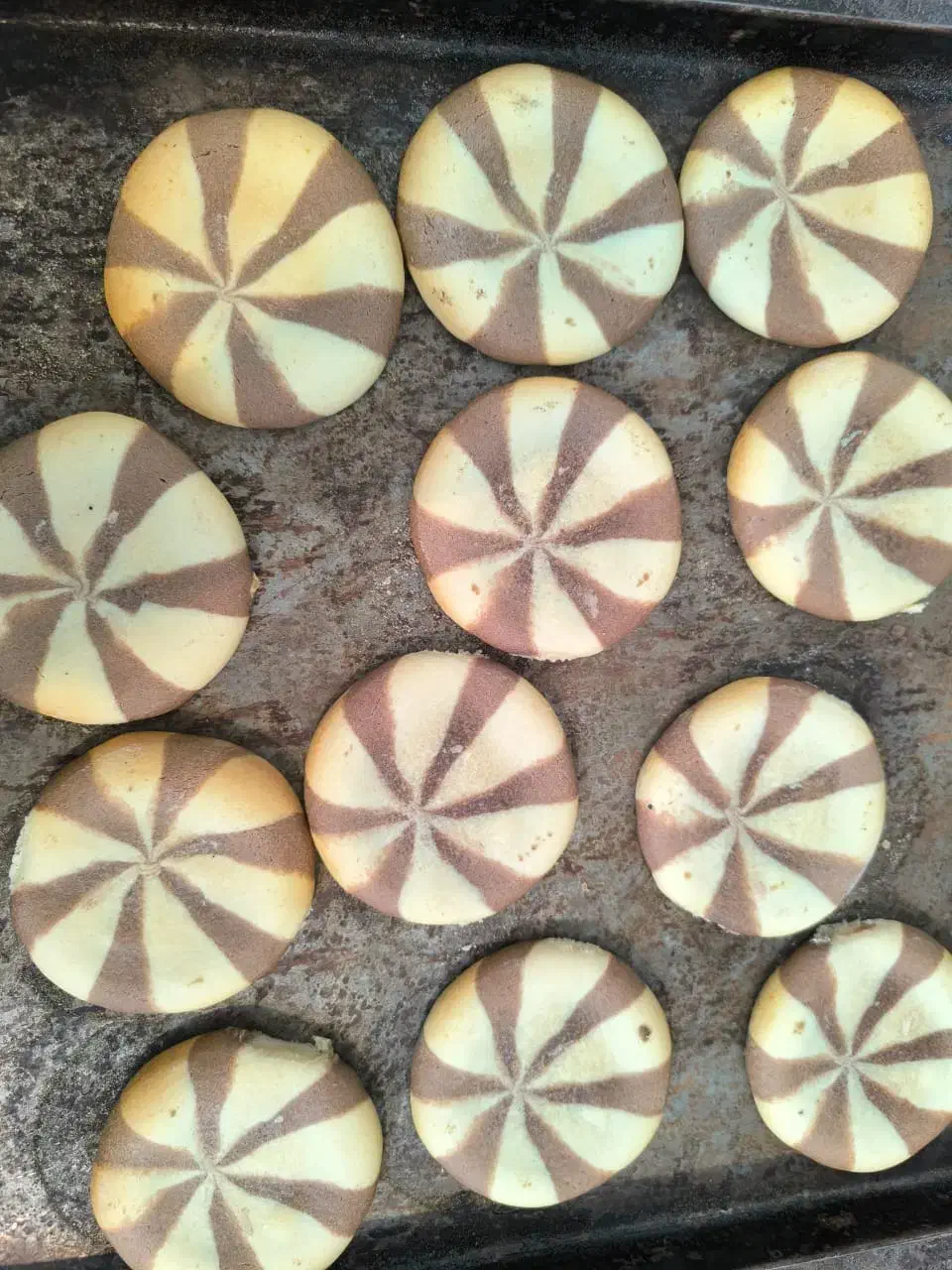 انواع کیک فانتزی بصورت عمده وکیلویی زیر قیمت بازار|خوردنی و آشامیدنی|حمیدیه, |دیوار