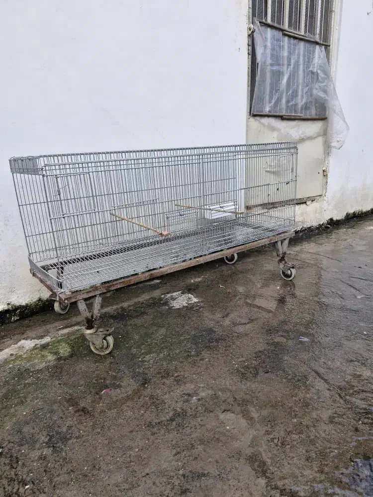 قفس قناری|لوازم جانبی حیوانات|عباسآباد, |دیوار