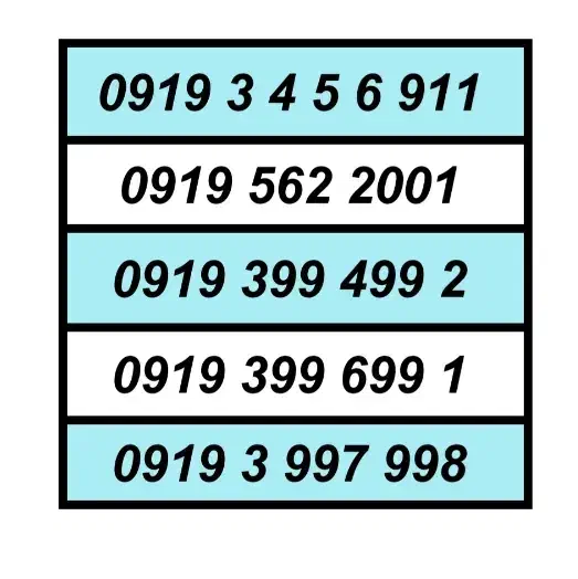 0919.91.200.91|سیم‌کارت|کرج, عظیمیه|دیوار