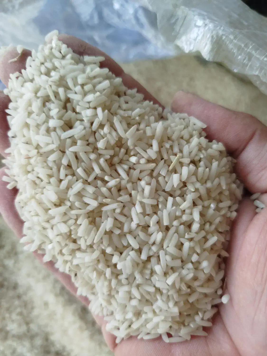 فروش برنج لاشه ونیم دانه هاشمی عطری در خدمت هستم|خوردنی و آشامیدنی|ماهدشت, |دیوار