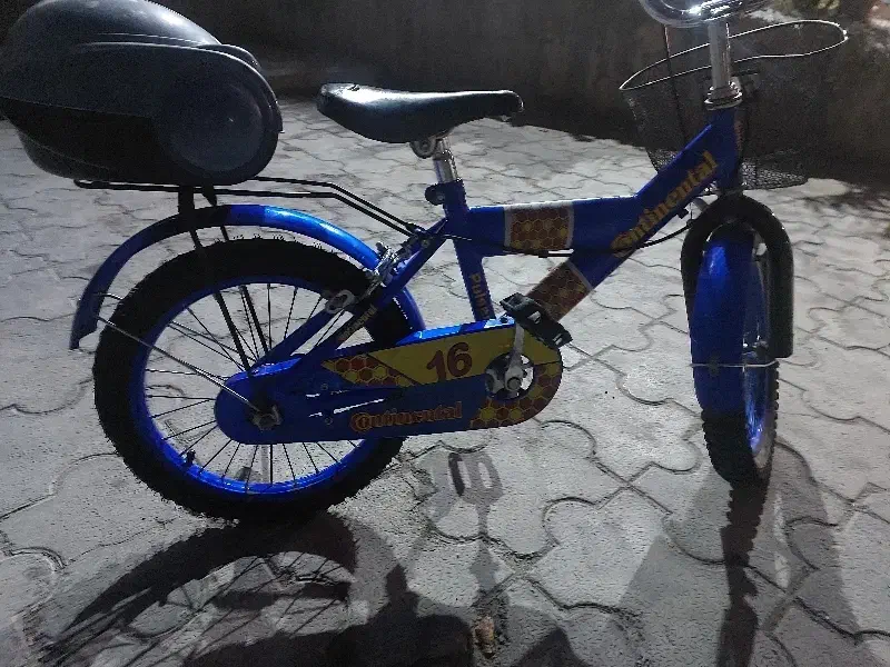 دوچرخه 16|دوچرخه، اسکیت، اسکوتر|تهران, بهمن یار|دیوار