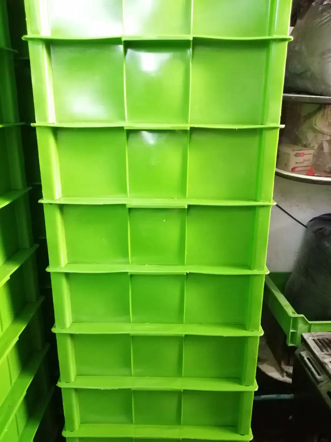 میلورم|حیوانات مزرعه|نجفآباد, منتظری جنوبی|دیوار