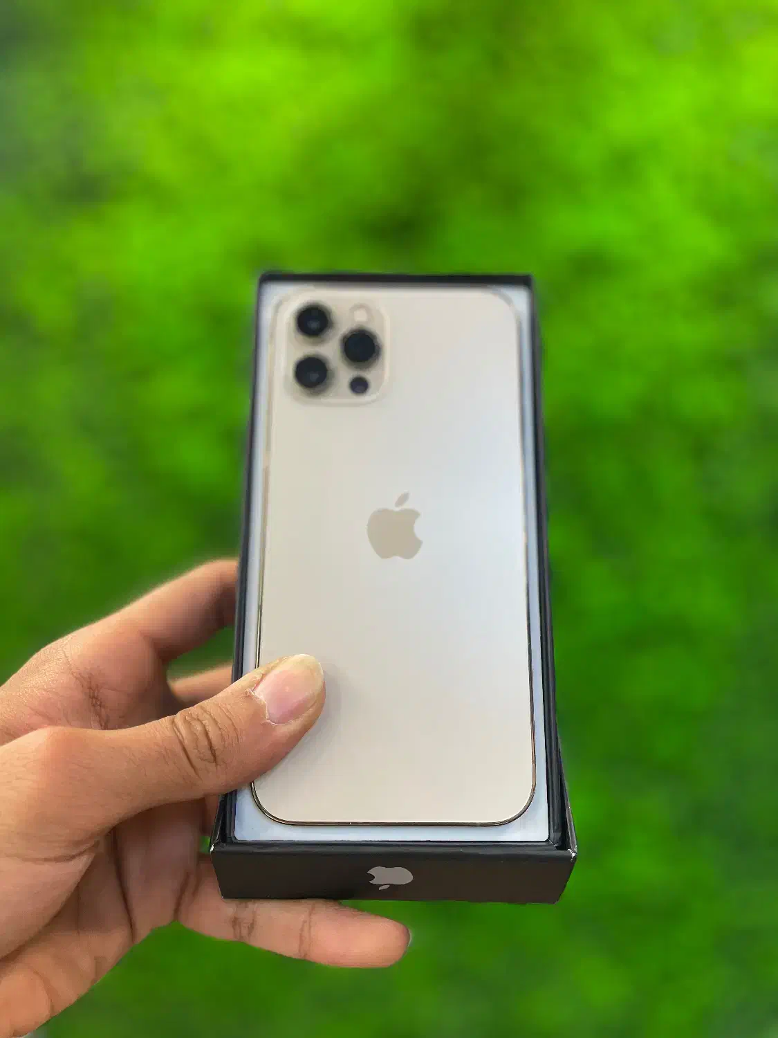 12 pro 256 دو سیم آیفون iphone|موبایل|تهران, شهرک غرب|دیوار