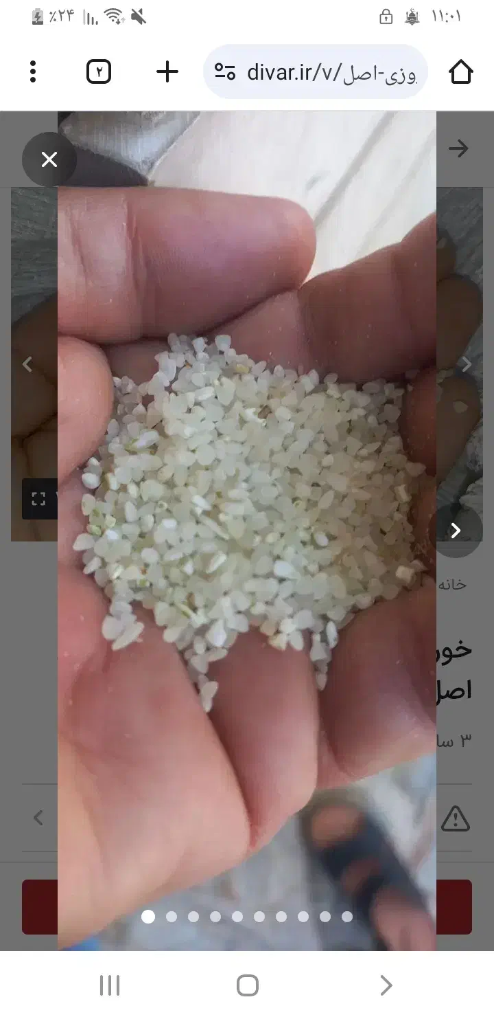 برنج کامفیروزی قیمت ۲۶۰|خوردنی و آشامیدنی|شیراز, شهرک سراج‎|دیوار
