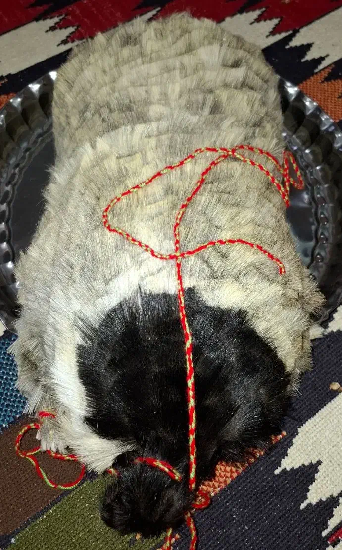 فروش یک عدد خیگ تازه|صنایع دستی و سایر لوازم تزئینی|ایذه, |دیوار