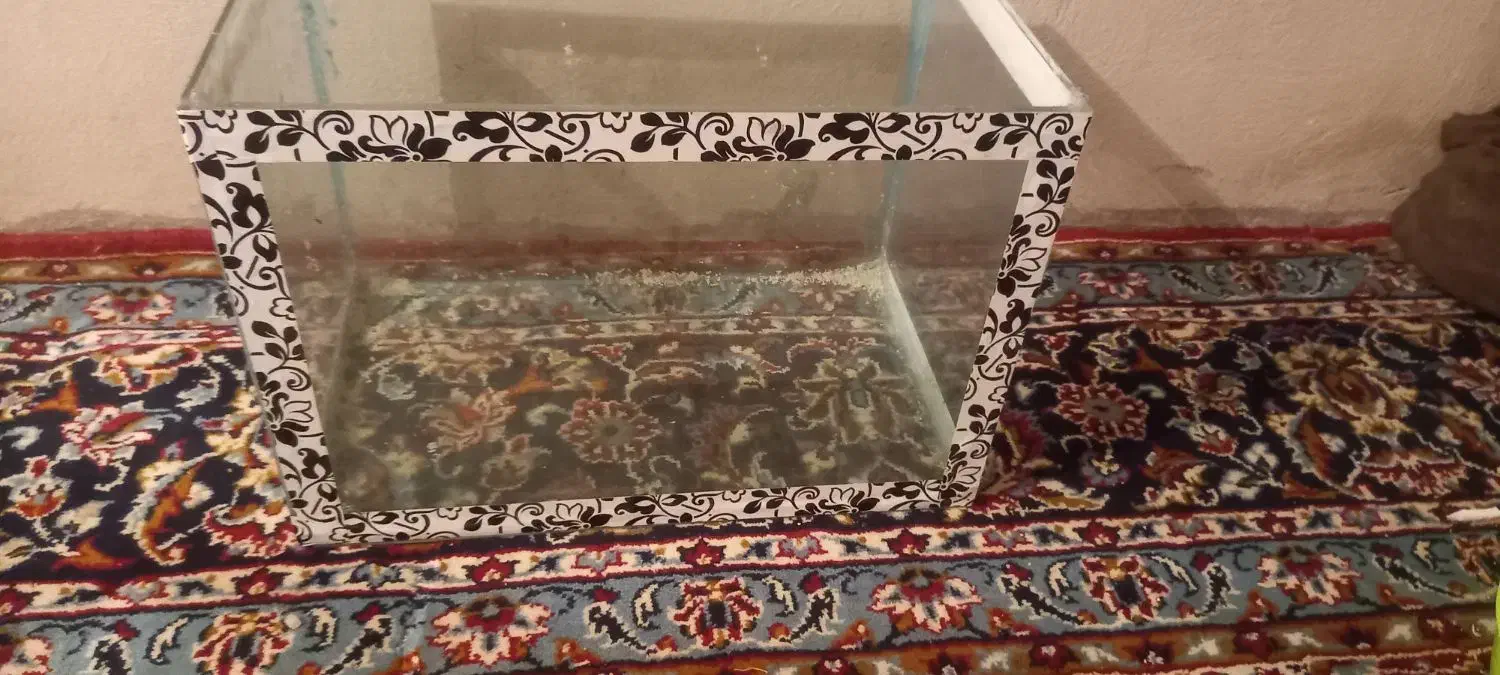 آکواریوم|ماهیگیری|تویسرکان, |دیوار