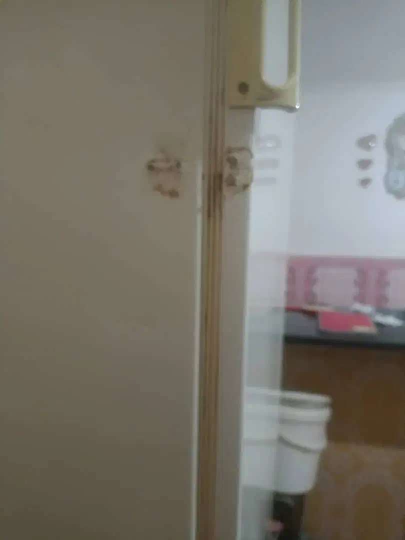 یخچال|یخچال و فریزر|زهک, |دیوار