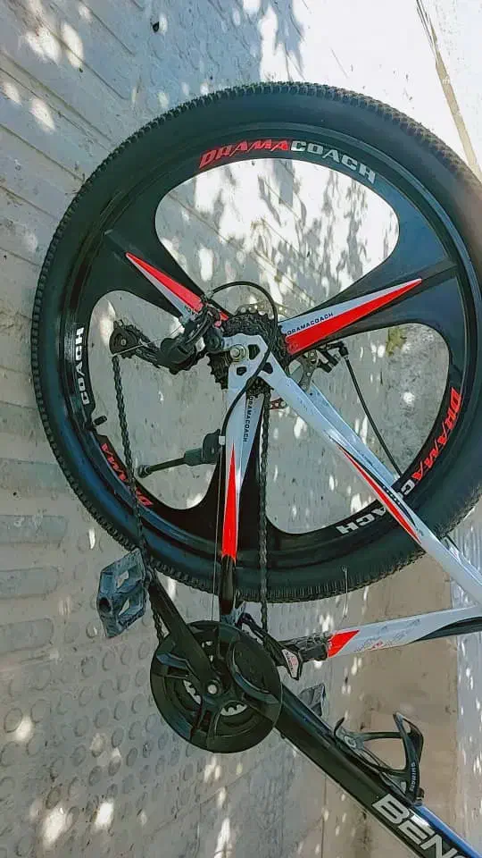 دوچرخه|دوچرخه، اسکیت، اسکوتر|الشتر, |دیوار