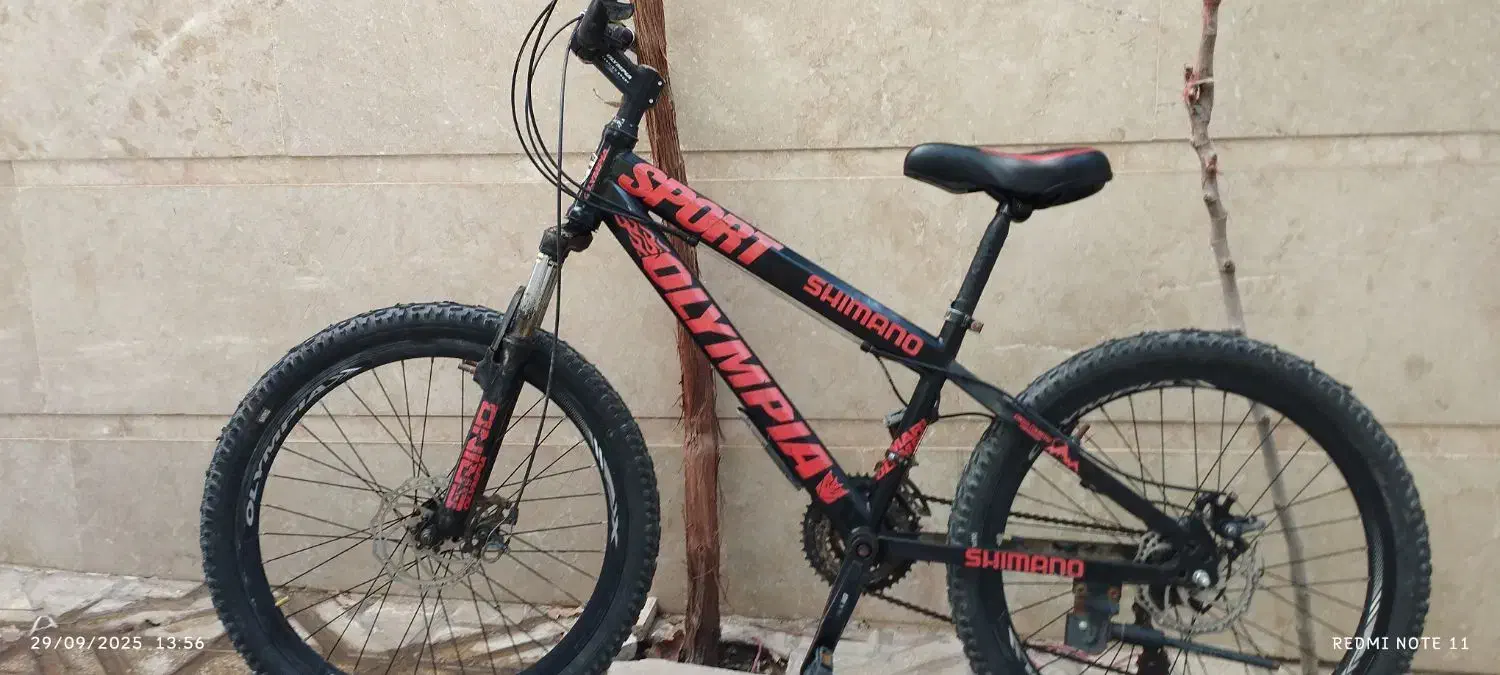 دوچرخه 24|دوچرخه، اسکیت، اسکوتر|سبزوار, جنت|دیوار