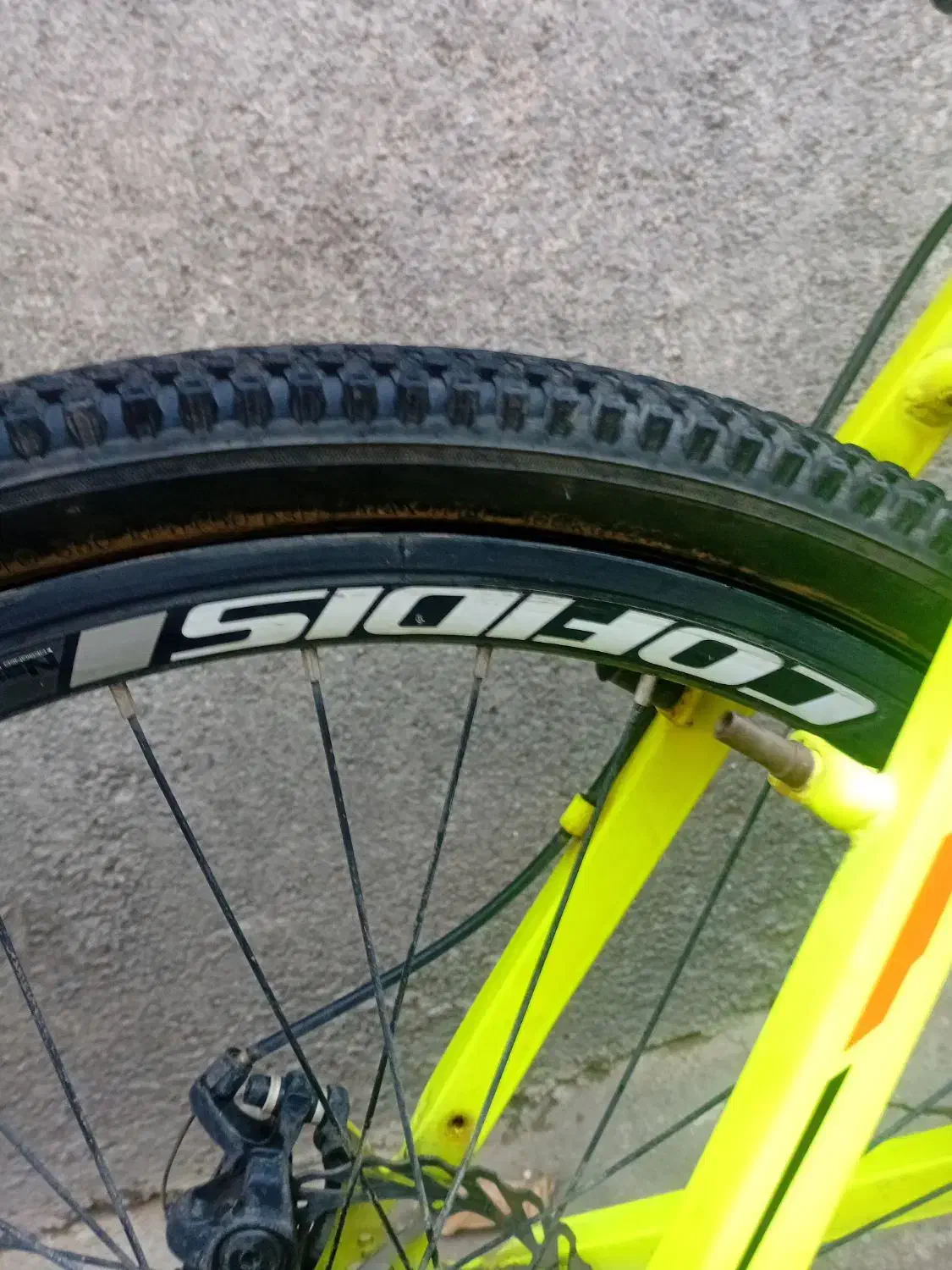 دوچرخه ۲۶ کوفیدیس|دوچرخه، اسکیت، اسکوتر|بانه, |دیوار