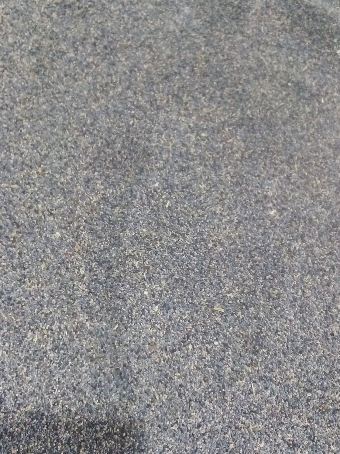 خش خاش دانه روغنی درمانی|آرایشی، بهداشتی، درمانی|ماهیدشت, |دیوار