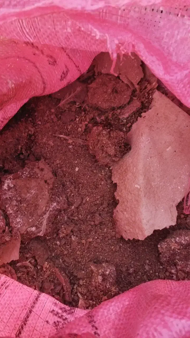 کودگاوی گوسفندی ومرغی|خدمات باغبانی و درختکاری|گمیشان, |دیوار