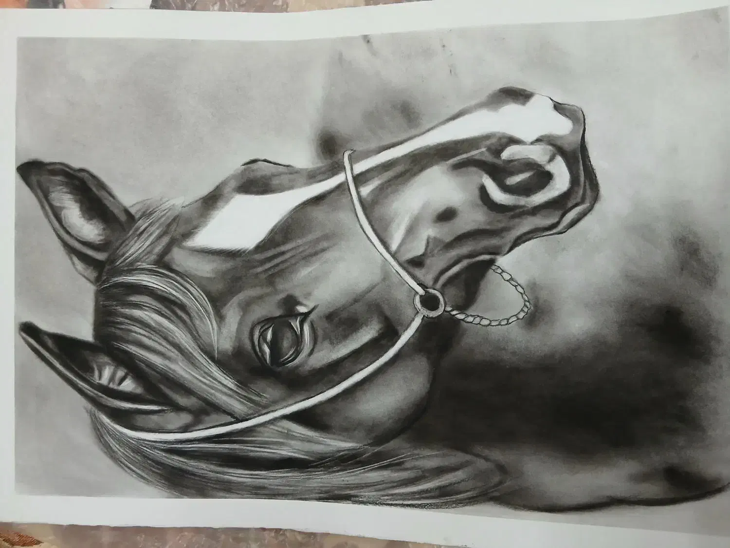 تابلو نقاشی|تابلو، نقاشی، عکس|مشهد, کوی المهدی|دیوار