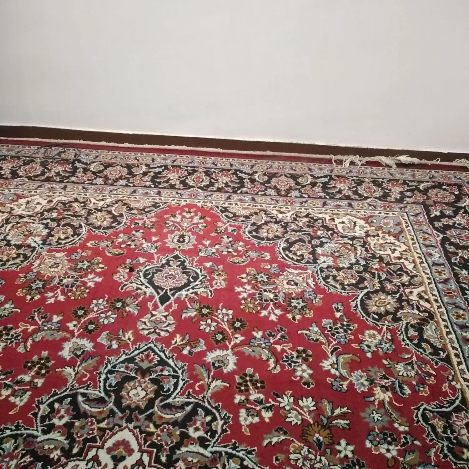 فرش|فرش|خورموج, |دیوار