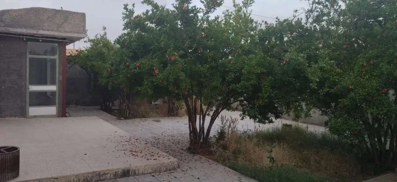 منزل جنب فروشگاه خانواده سه نبش هم شمالی و جنوبی|فروش خانه و ویلا|فردوس (خراسان), |دیوار