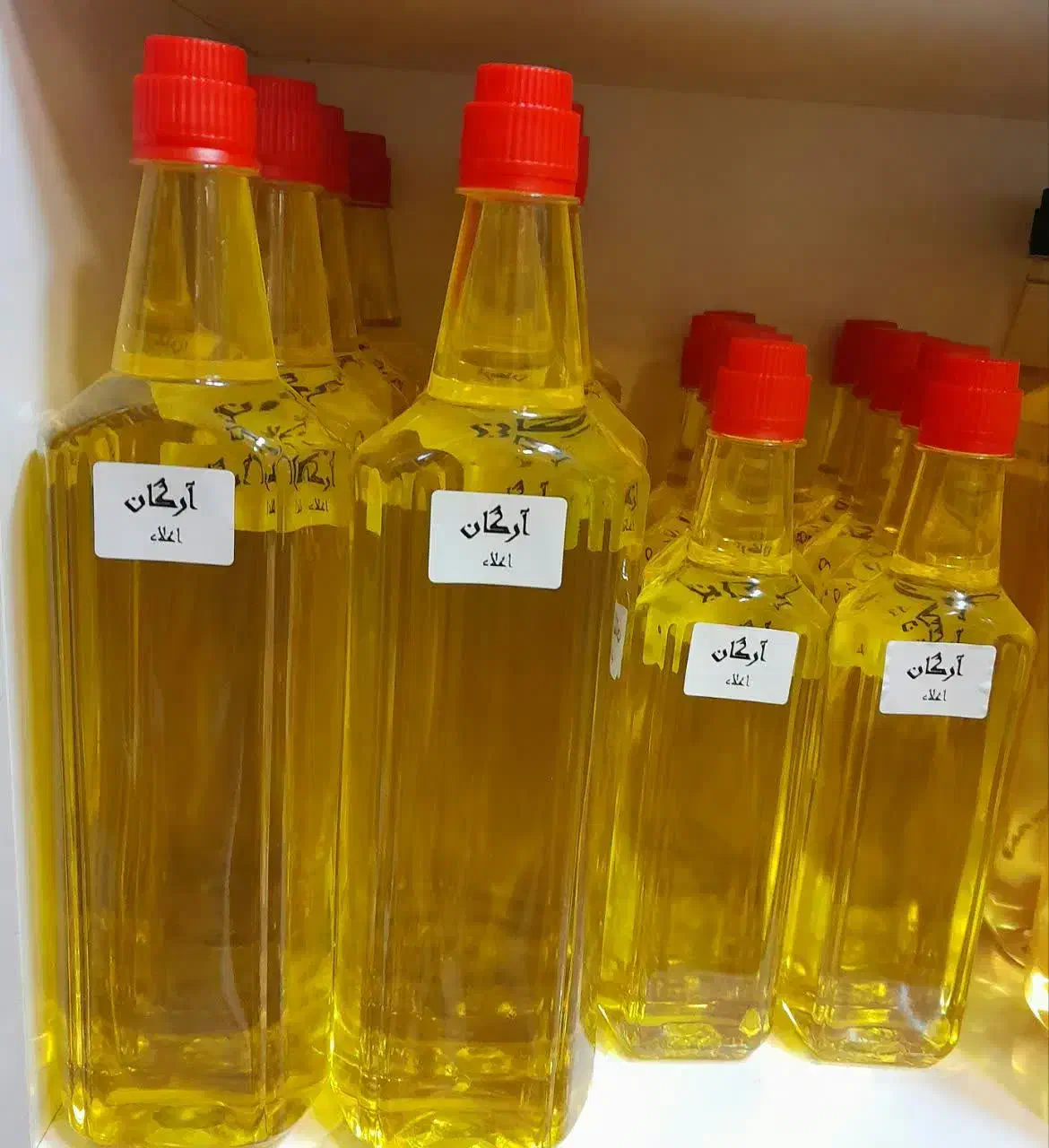 خواص روغن های گیاهی|فعالیت داوطلبانه|مشهد, عیدگاه|دیوار