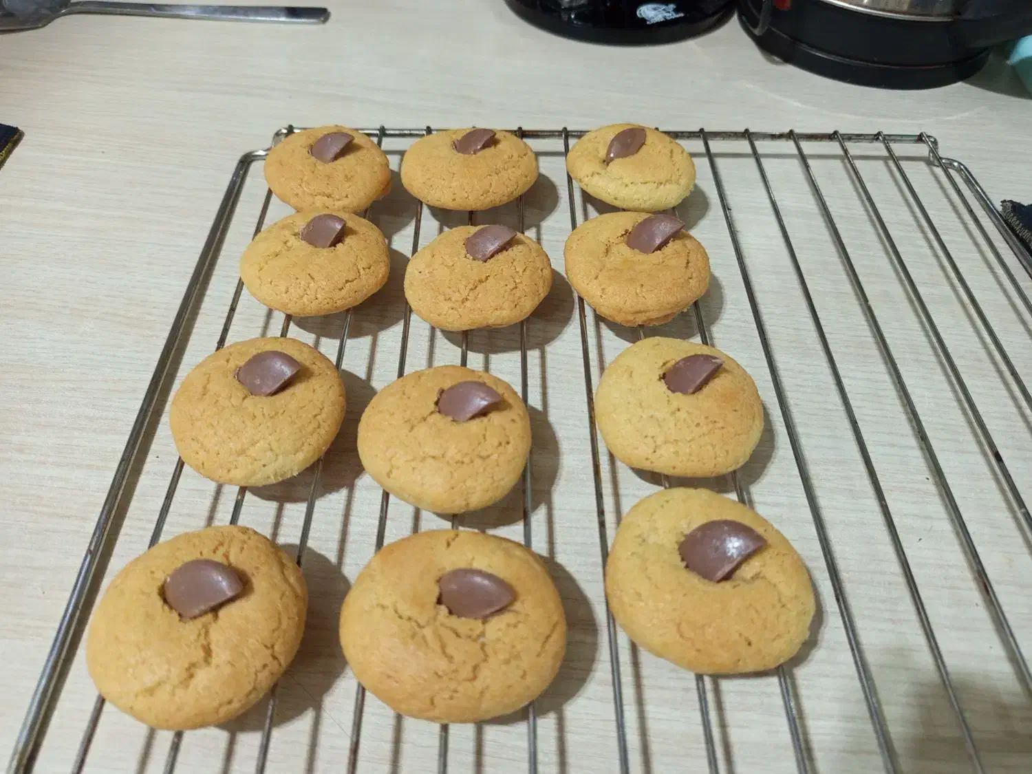 بهترین و باکیفیت ترین کوکی|خدمات پذیرایی، مراسم|اقبالیه, |دیوار