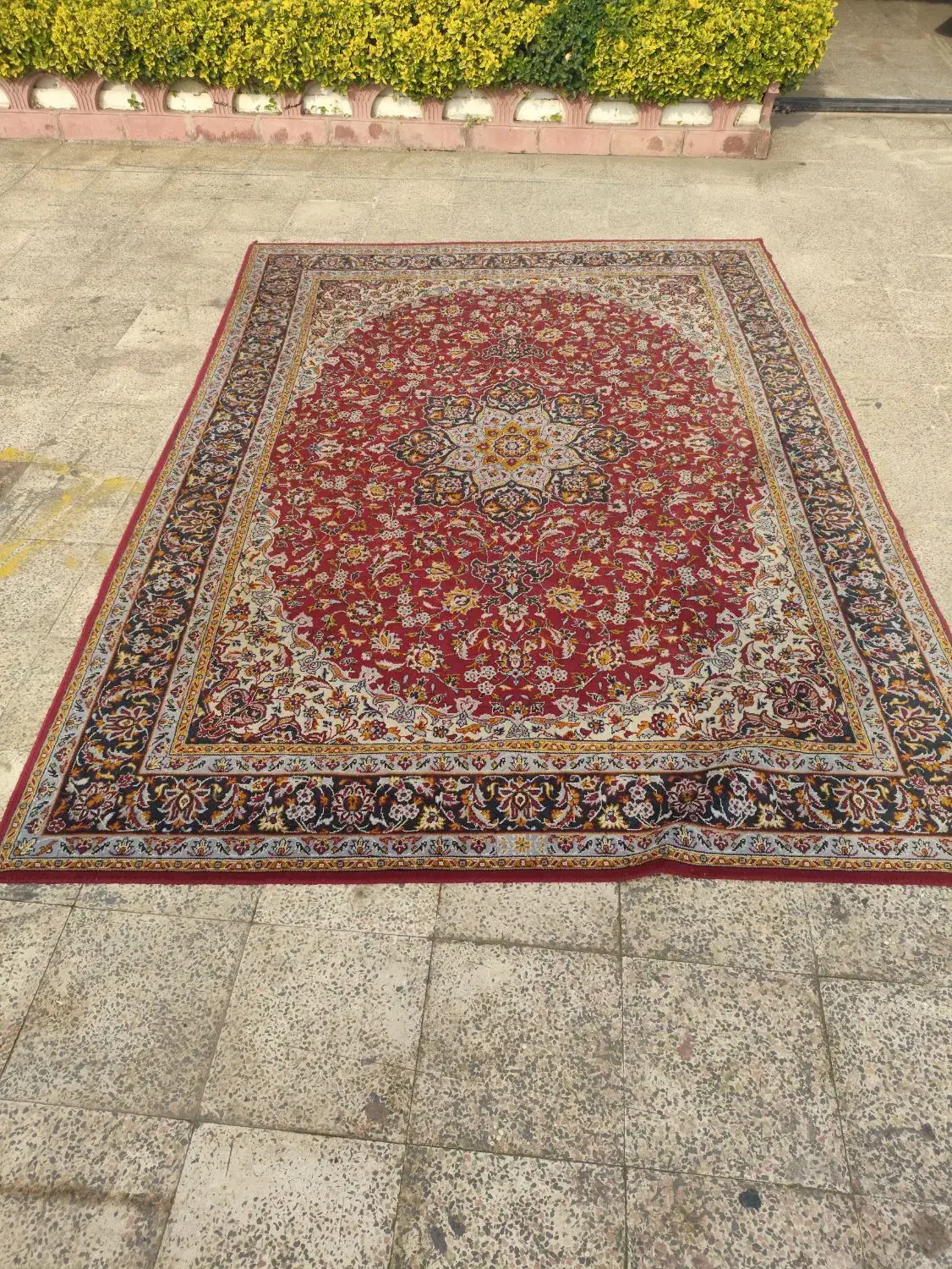 فرش ۹ متری|فرش|بندر انزلی, پیل علی باغ|دیوار