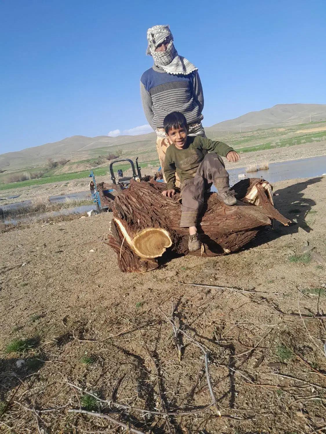 چوب الوار|خدمات باغبانی و درختکاری|زالیان, |دیوار