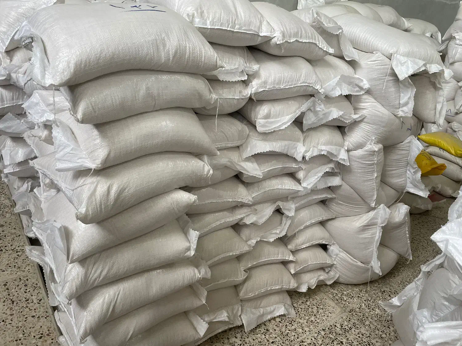 برنج شیرودی|خوردنی و آشامیدنی|بندر گز, |دیوار