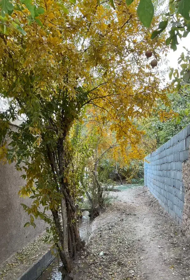 اجاره خانه باغ در مهریز|اجارهٔ کوتاه‌مدت ویلا و باغ|مهریز, |دیوار