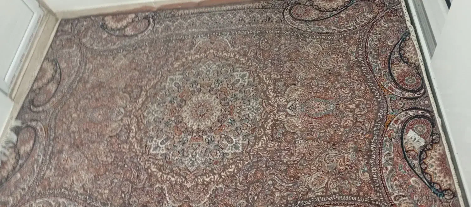 فرش ۶متری|فرش|نسیمشهر, |دیوار