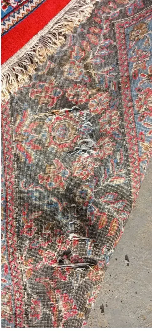 فرش ۹متری|فرش|بیستون, |دیوار