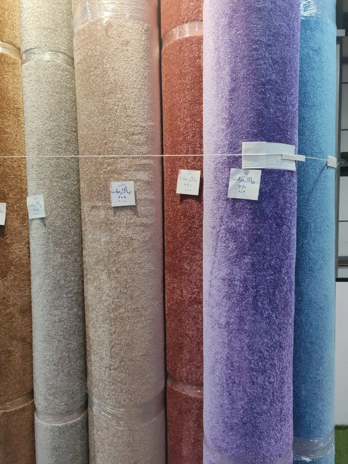 موکت،پرده، کاغذ|موکت|شیراز, فرگاز|دیوار