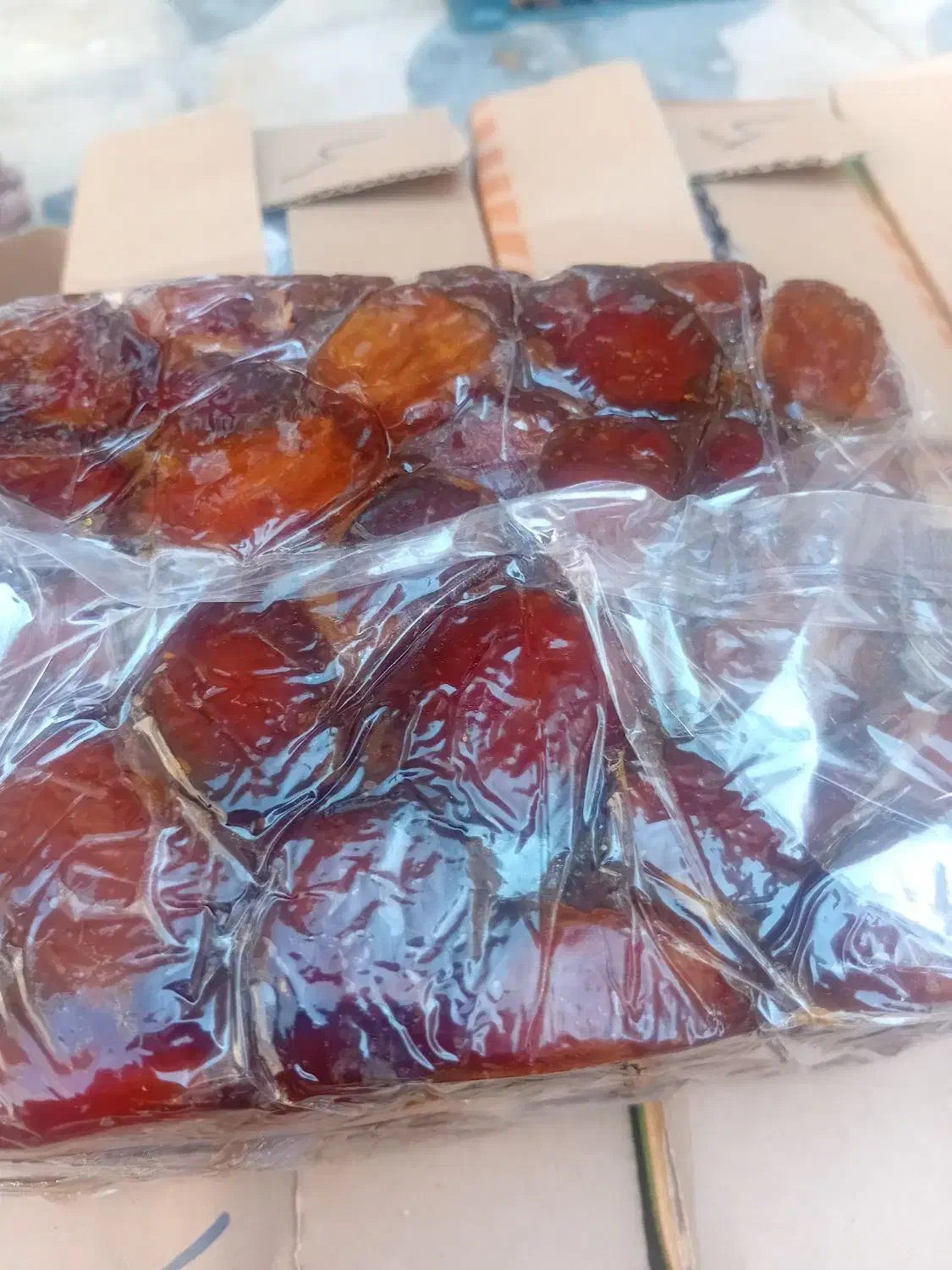 خرمای کبکاب وشاهانی تازه|خوردنی و آشامیدنی|شیراز, کفترک|دیوار