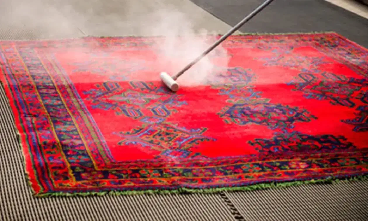 قالیشویی پاسارگاد ری|خدمات نظافت|ری, شهادت|دیوار