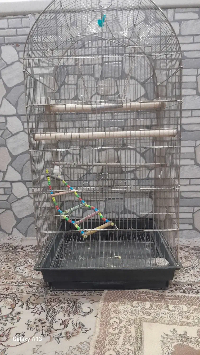 قفس|لوازم جانبی حیوانات|تربت‌حیدریه, آغوی|دیوار