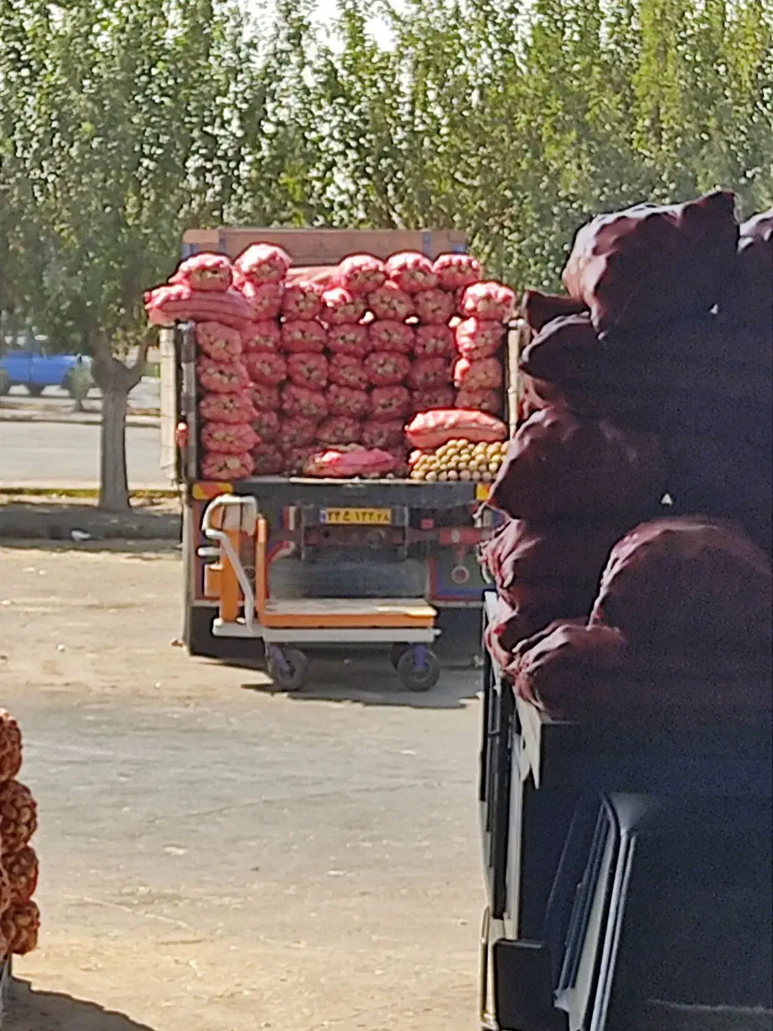 فروش 6دانگ.حجره تره بارتهران فاز 2 سالن 10 پلاک 27|فروش مغازه و غرفه|تهران, میدان میوه و تره‌بار مرکزی|دیوار