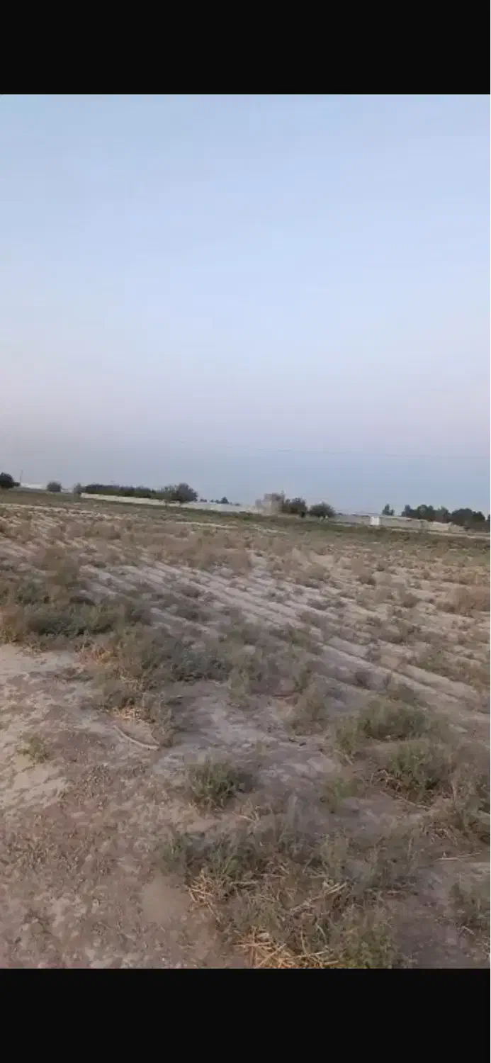 زمین کشاورزی گلخانه ای باغی|فروش زمین و ملک کلنگی|ورامین, ورامین|دیوار