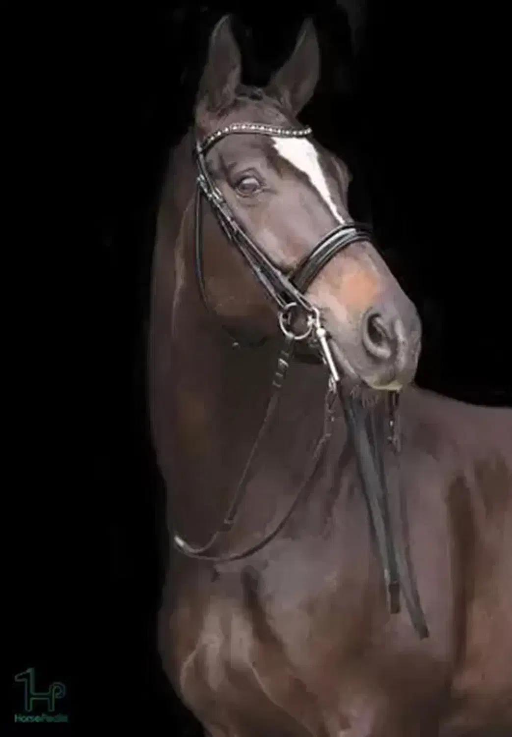 اسب دوخون|اسب و تجهیزات اسب‌سواری|تهران, پاسداران|دیوار