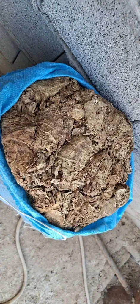 برگ خشک|خوردنی و آشامیدنی|کاکی, |دیوار