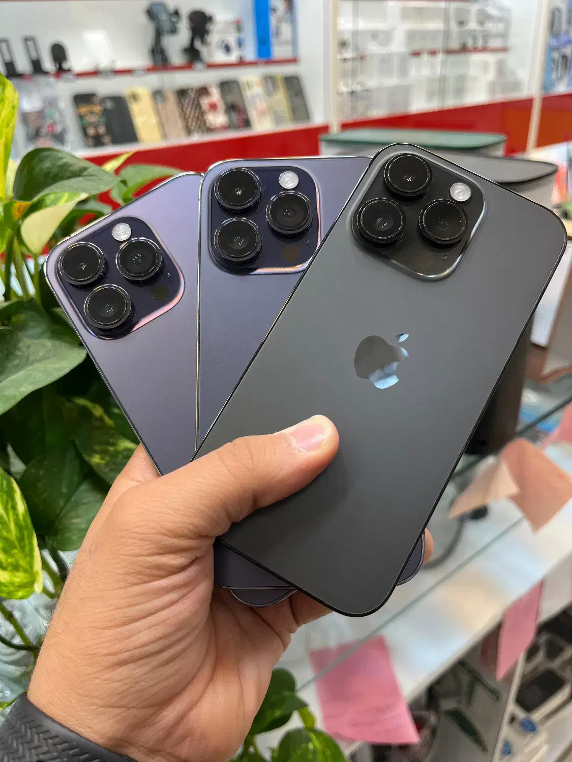 Iphone 14 pro|موبایل|شیراز, گود عربان|دیوار