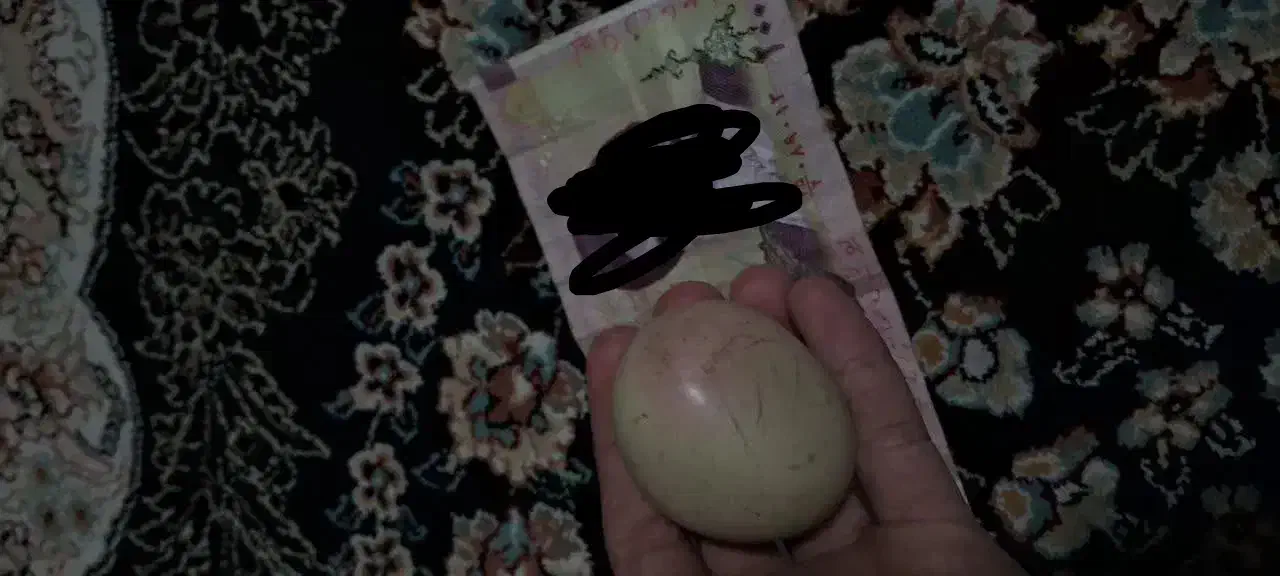 سنگ آسیاب الماس «اصل»|کلکسیون اشیاء عتیقه|همدان, |دیوار