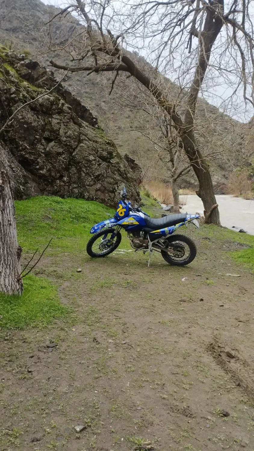 کویر T2 کراس|موتورسیکلت|کرج, باغ سیب|دیوار