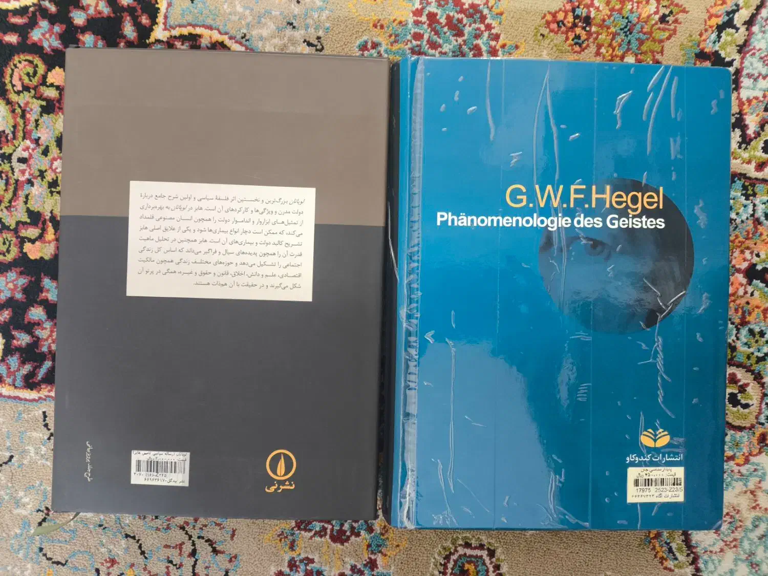 پدیدارشناسی جان و لویاتان|کتاب و مجله ادبی|اسلامشهر, شهرک مهدیه|دیوار