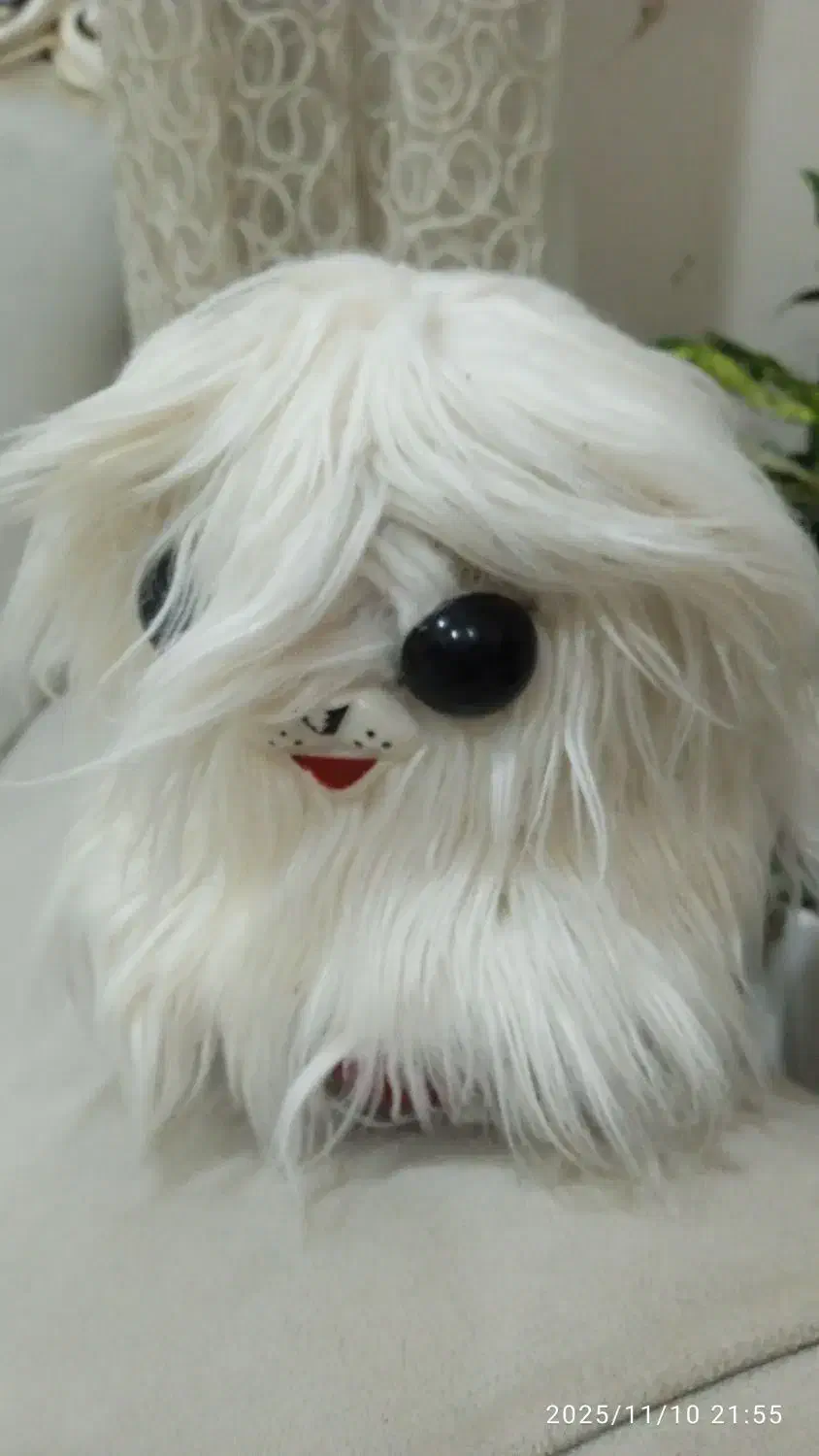 دوعدد عروسگ سگ و گربه پشمالو ۲۵۰|اسباب‌‌بازی|اهواز, کیان اباد|دیوار