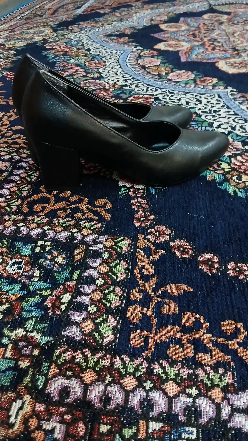 کفش|کیف، کفش، کمربند|شهرکرد, |دیوار