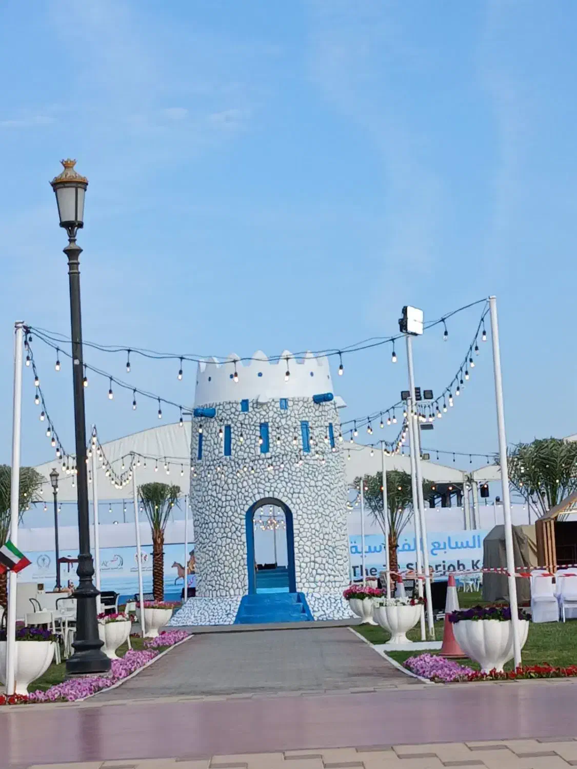 اسب|اسب و تجهیزات اسبسواری|میناب, |دیوار