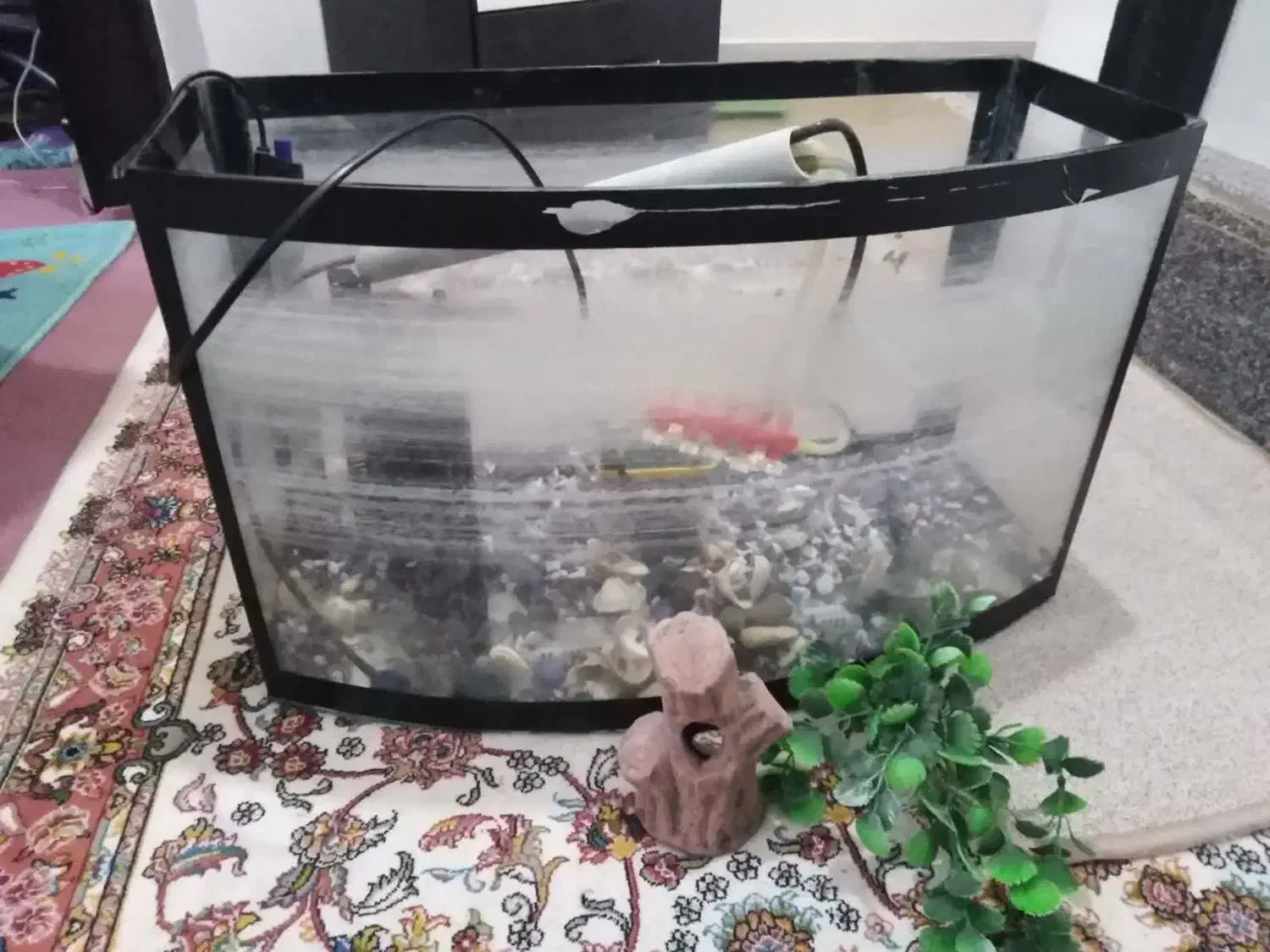 آکواریوم با تمام تجهیزات|ماهی|سهند, |دیوار