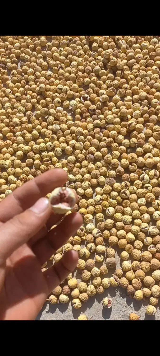 انجیر درجه یک استهبان|خوردنی و آشامیدنی|شیراز, وصال|دیوار
