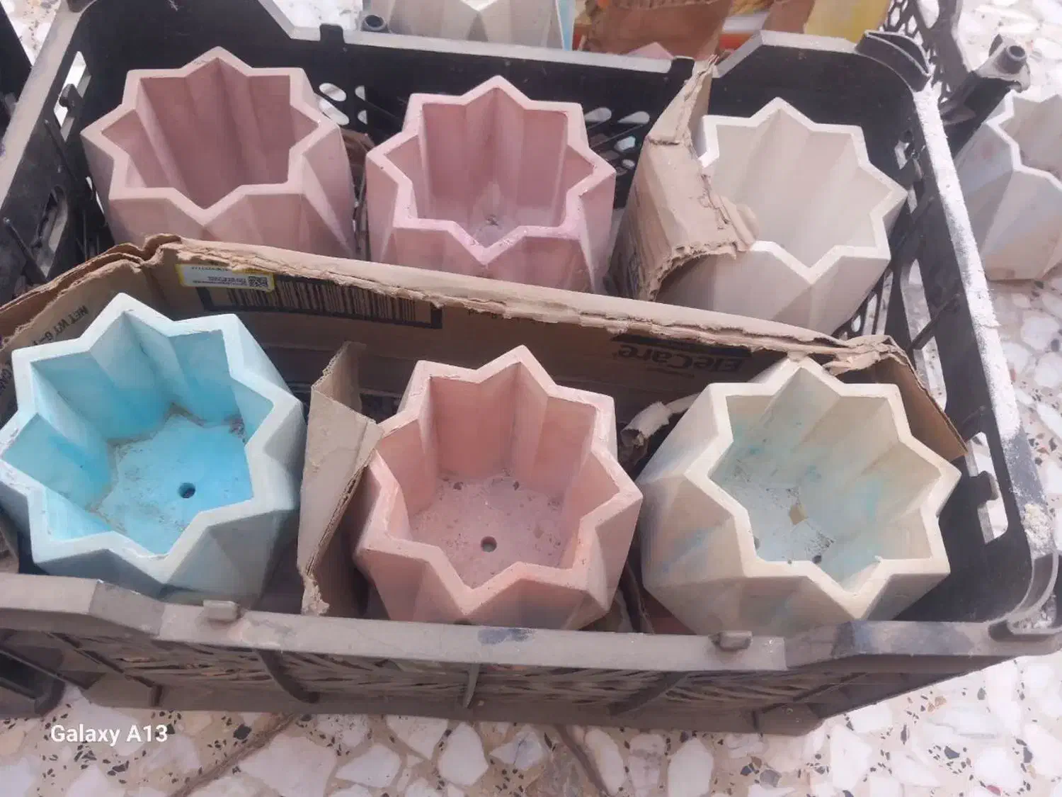 گلدان بتنی وقالب تولید|گل و گیاه طبیعی|پیر بکران, |دیوار