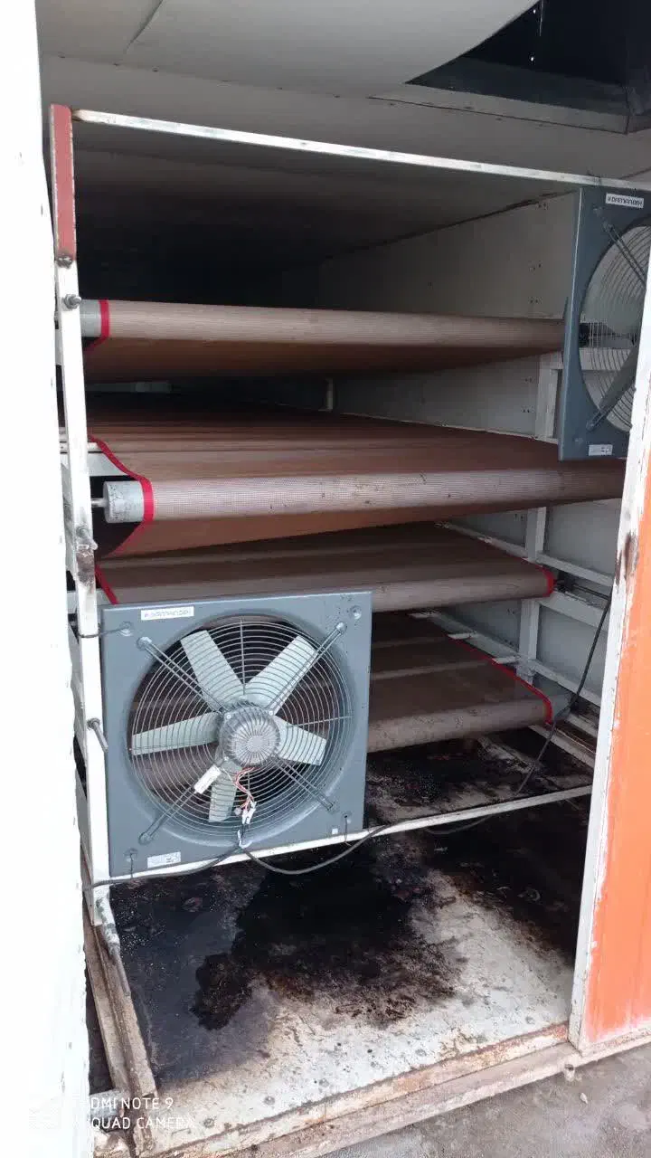 فروش خط شستشویی و  خشک کن کانتینیوس سبزیجات|ماشین‌آلات صنعتی|بادرود, |دیوار